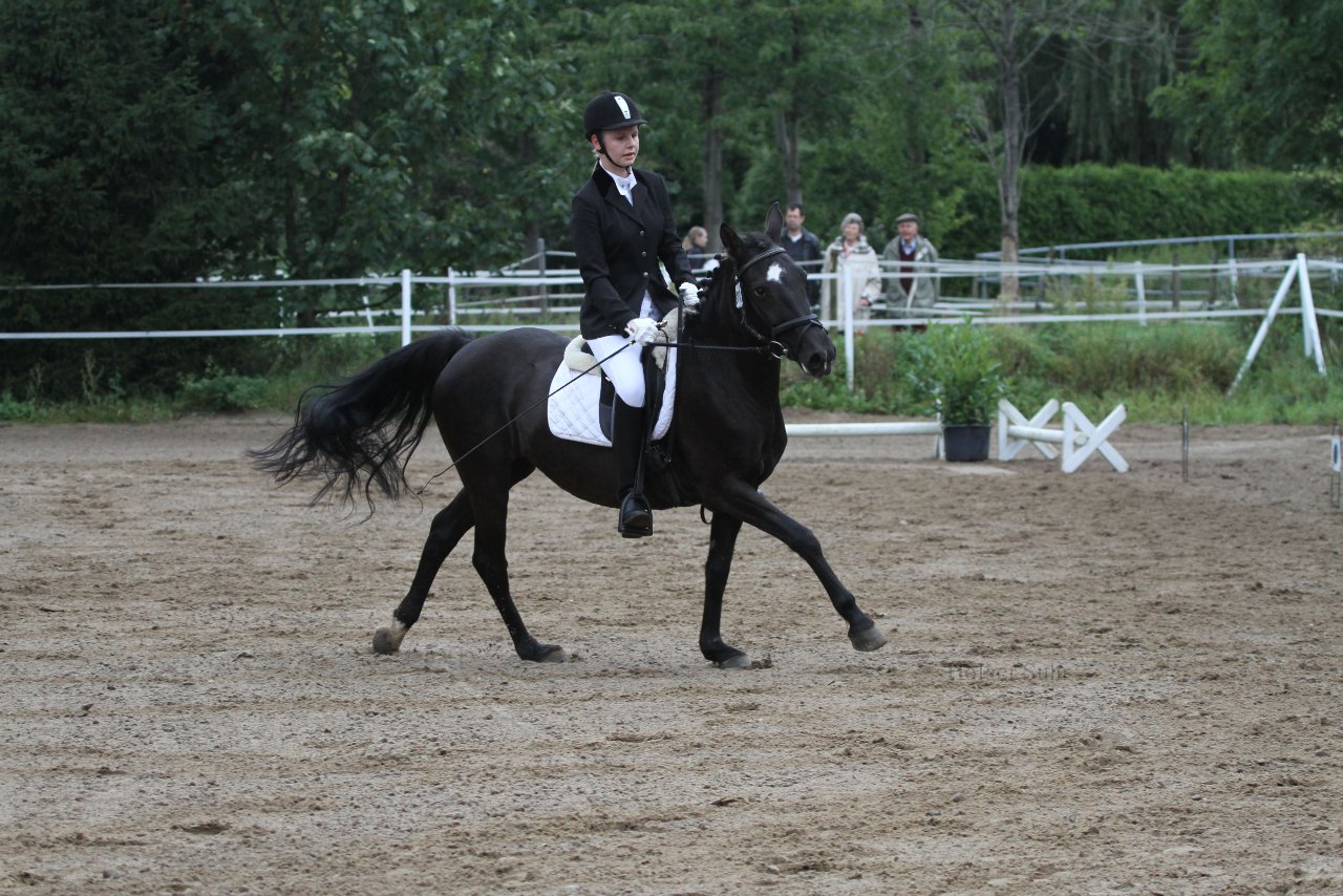 Bild 292 - WBO-Turnier am 18.9.11